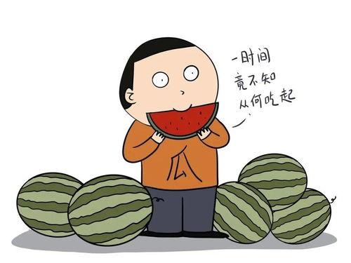 吃瓜群众英文短语,Evaluating the Buzz: A Glimpse into the World of 'Eating Watermelon' Enthusiasts